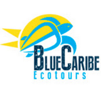 Blue Caribe Tours